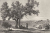 ROME. Banks of the Lake of Nemi 1872 old antique vintage print picture