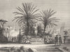 ROME. Gardens of the Villa Albani 1872 old antique vintage print picture