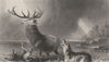 DEER. The Stag at Bay-Landseer c1880 old antique vintage print picture