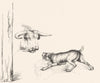COWS. Baiting the bull-Landseer c1880 old antique vintage print picture