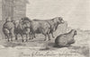 SHEEP. Merino Sheep-Landseer c1880 old antique vintage print picture