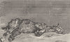 HORSES. All labour(Horse)-Landseer c1880 old antique vintage print picture