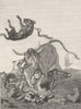 COWS. Bull attacked by dogs-Landseer c1880 old antique vintage print picture