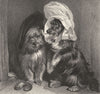 DOGS. Comical dogs-Landseer c1880 old antique vintage print picture