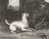 CATS. The Intruder-Landseer c1880 old antique vintage print picture