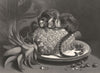 MONKEYS. The Marmozettes-Landseer c1880 old antique vintage print picture