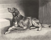 PEERS. Awaiting Countess-Landseer c1880 old antique vintage print picture