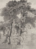 TREES. Study of Oak-trees-Landseer c1880 old antique vintage print picture