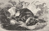 SOCIETY. Feast interrupted-Landseer c1880 old antique vintage print picture