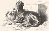 DOGS. Eos and Cairnach-Landseer c1880 old antique vintage print picture