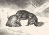 DOGS. The Rescue-Landseer c1880 old antique vintage print picture
