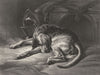 DOGS. Sleeping Bloodhound-Landseer c1880 old antique vintage print picture