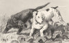 DOGS. Pointer and Setter-Landseer c1880 old antique vintage print picture