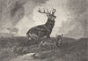 DEER. The Alarm-Landseer c1880 old antique vintage print picture