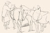 HORSES. Highlander & Ponies-Landseer c1880 old antique vintage print picture