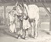 TRANSPORT. A cart horse-Landseer c1880 old antique vintage print picture