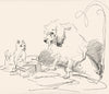 DOGS. Example 2-Landseer c1880 old antique vintage print picture