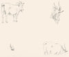 GOATS. Example 6-Landseer c1880 old antique vintage print picture
