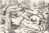 LIONS. Milo of Crotona-Titian 1880 old antique vintage print picture