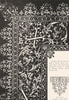 VENICE. Teatro NobiliVirtuose Donne, Parasole Romana 1880 old antique print