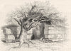 HANTS. Silchester The North wall 1845 old antique vintage print picture
