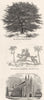 #. Yew-tree, Hayes Church; King hunting; Winchester 1845 old antique print