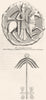 TEGULATED ARMOUR. Seal. Richard, Chester Constable 1845 old antique print