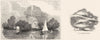 BERKS. Magna Charta Island; Ankerwyke Yew 1845 old antique print picture