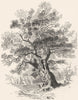 LANDSCAPES. The Forest King 1845 old antique vintage print picture