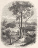 CORNWALL. Well of St Keyne, Cornwall 1845 old antique vintage print picture