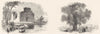 KENT. Ct-St chapel, Aldington; Boundary Elm, Stratford 1845 old antique print