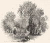 WARCS. Garden of New Place 1845 old antique vintage print picture
