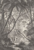 PORTUGUESE GUINEA. Forest Scene in Portuguese Senegambia. Guinea-Bissau 1893