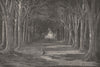 SPAIN. The Queen's Avenue, Aranjuez 1881 old antique vintage print picture