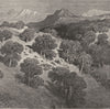 SPAIN. View in Majorca 1881 old antique vintage print picture