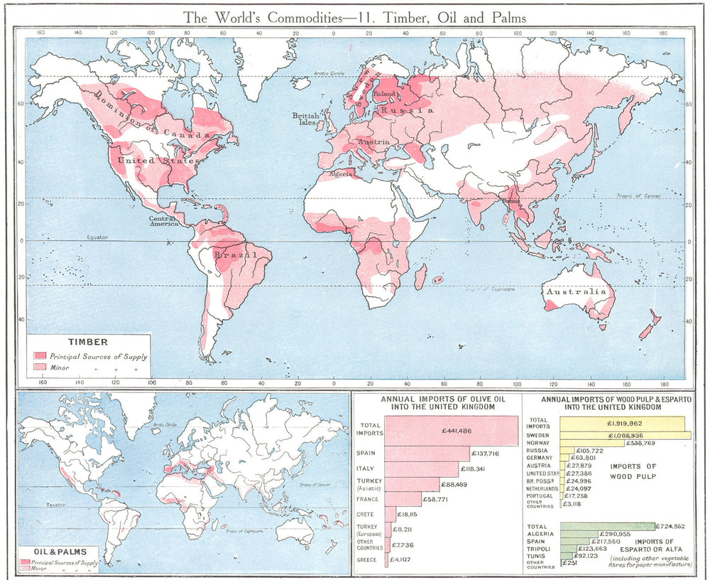 WORLD. Commodities - Production & supply of Timber; Oil and Palms 1907 old map