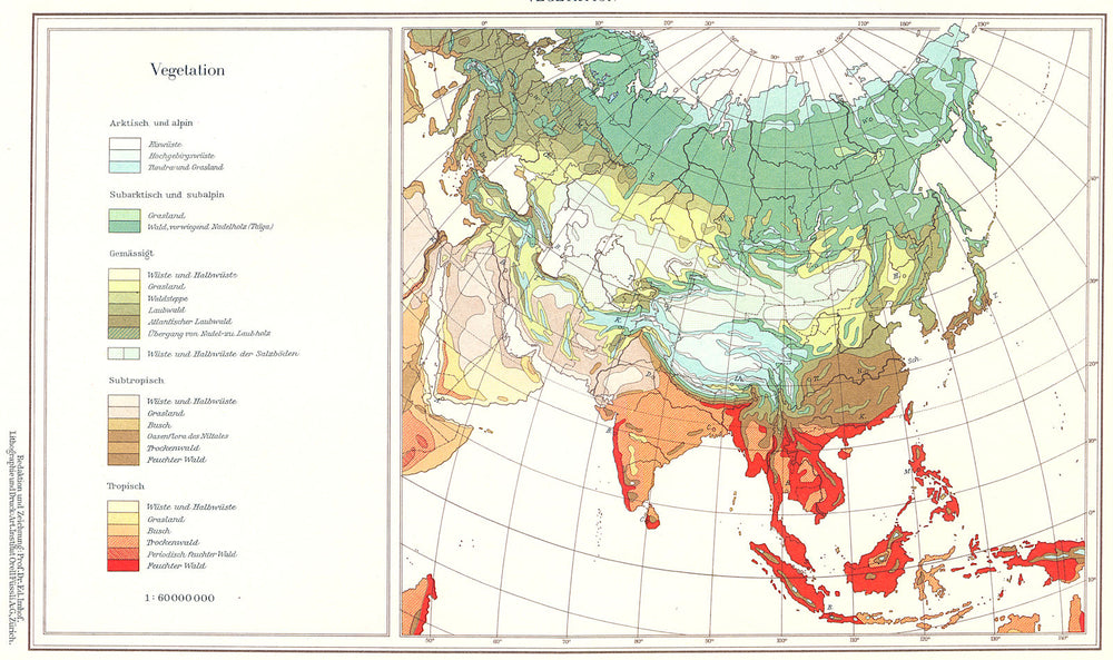 ASIA.Asien;Vegetation 1958 old vintage map plan chart