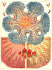 GT BARRIER REEF CORAL Giant Anemone Discosoma Kenti blue Amphiprion Percula 1893