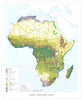 AFRICA. Major vegetation zones 1973 old vintage map plan chart