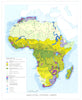 AFRICA. Agriculture,Livestock,Fishing 1973 old vintage map plan chart