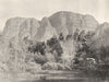 SOUTH AFRICA. Table Mountain, from Newlands 1899 old antique print picture