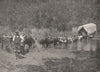 SOUTH AFRICA. Travelling by Ox Wagon 1899 old antique vintage print picture