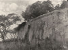 ZIMBABWE. The Great wall of Zimbabwe temple, Rhodesia 1899 old antique print
