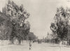 SOUTH AFRICA. Du Toits Pan road 1899 old antique vintage print picture