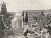 ISRAEL. Jerusalem- The Garden of Gethsemane 1895 old antique print picture