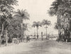 MAURITIUS. Mauritius- Labourdonnais square, Port Louis 1895 old antique print