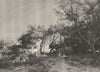 ITALY. Riviera di Ponente. From a Villa near Bordighera 1877 old antique print