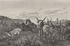 ROME. Roman Campagna. Herdsman in the Campagna 1877 old antique print picture