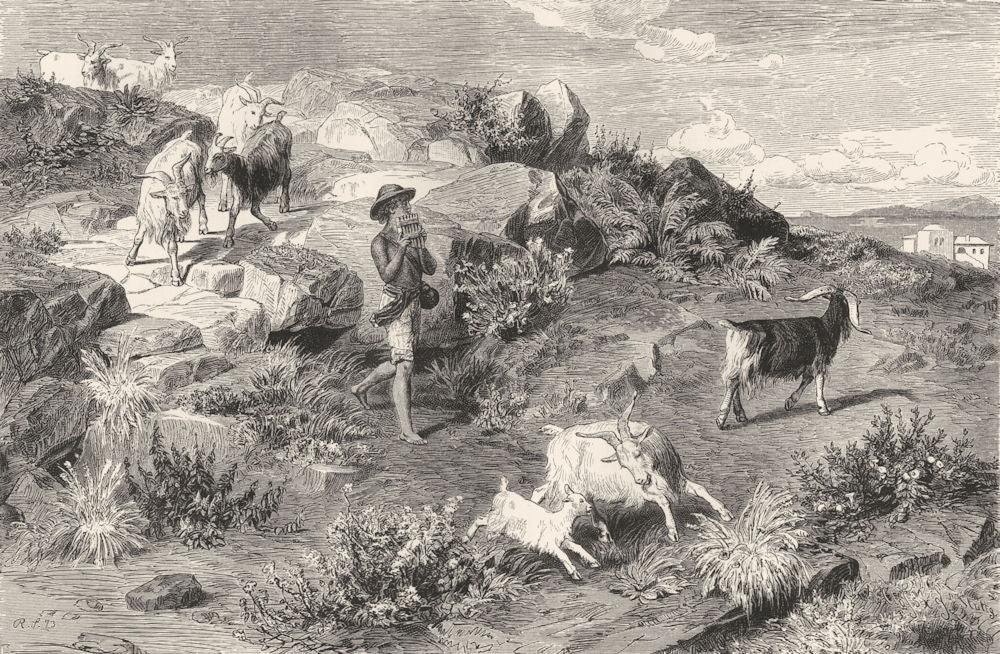 ROME. Roman Campagna. Shepherd boy in the Campagna 1877 old antique ...