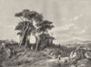 ITALY. Pine- wood near Torre del Greco 1877 old antique vintage print picture